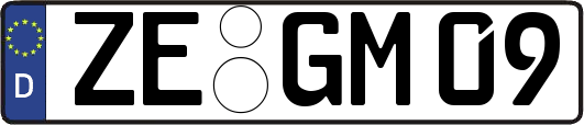 ZE-GM09