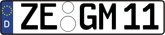 ZE-GM11
