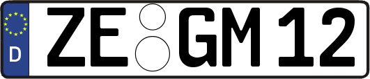 ZE-GM12