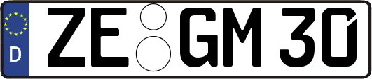 ZE-GM30