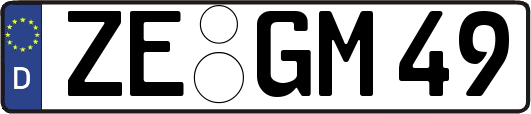 ZE-GM49