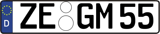ZE-GM55