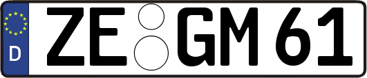 ZE-GM61