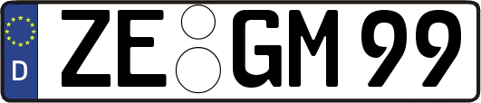ZE-GM99