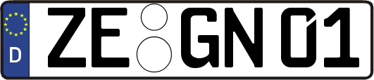 ZE-GN01