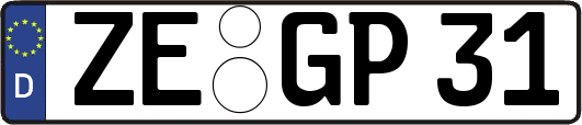 ZE-GP31