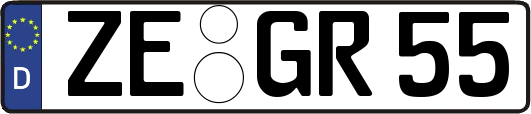 ZE-GR55