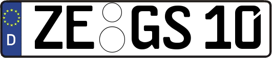 ZE-GS10