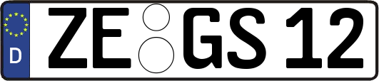 ZE-GS12
