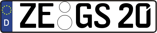 ZE-GS20