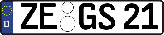 ZE-GS21