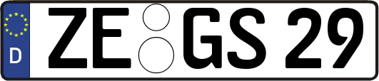 ZE-GS29