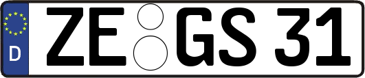 ZE-GS31