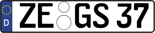 ZE-GS37
