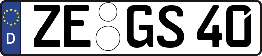 ZE-GS40