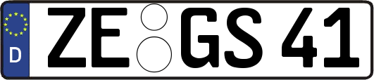 ZE-GS41