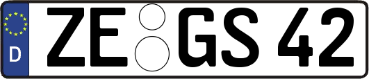 ZE-GS42