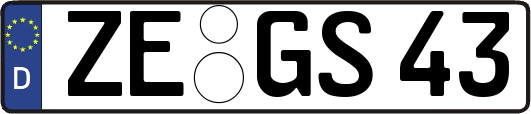 ZE-GS43