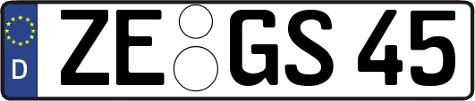 ZE-GS45