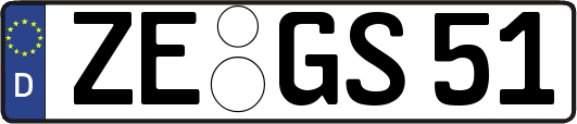 ZE-GS51