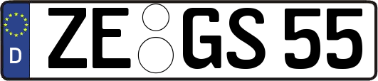 ZE-GS55