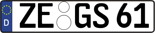 ZE-GS61