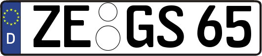 ZE-GS65