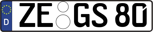 ZE-GS80