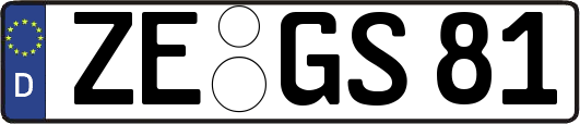 ZE-GS81