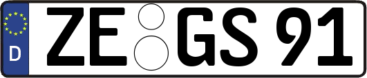 ZE-GS91