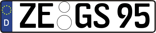 ZE-GS95