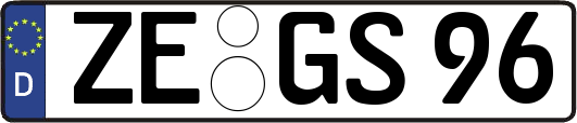 ZE-GS96