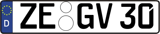 ZE-GV30