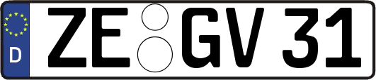 ZE-GV31