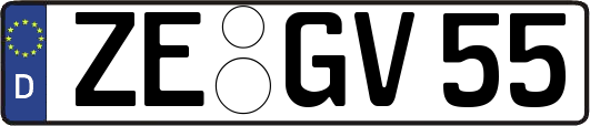 ZE-GV55