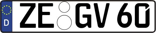 ZE-GV60