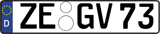 ZE-GV73