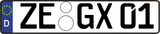 ZE-GX01