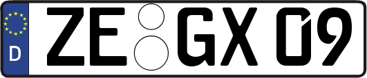 ZE-GX09