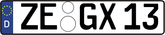 ZE-GX13