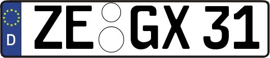 ZE-GX31