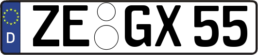 ZE-GX55
