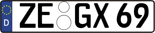 ZE-GX69