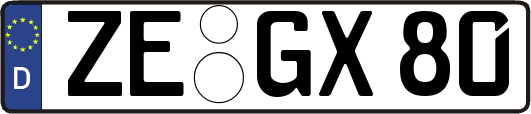 ZE-GX80