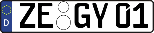 ZE-GY01