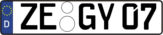 ZE-GY07