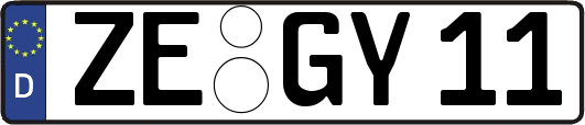 ZE-GY11