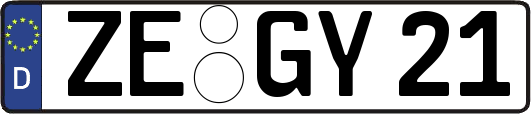 ZE-GY21