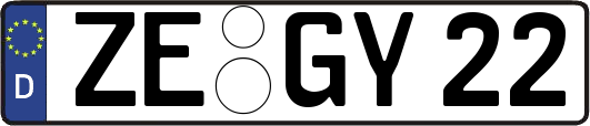 ZE-GY22
