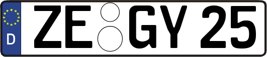 ZE-GY25